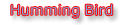 cheap web hosting at Hummingbird Hosting