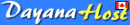 cheap web hosting at Dayana Host