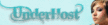 cheap web hosting at UnderHost Networks Ltd