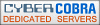 cheap web hosting at CyberCOBRA Limited