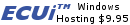 cheap web hosting at Electronic Communications Unlimited, Inc.